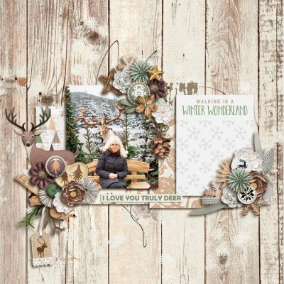 Winter Woodland