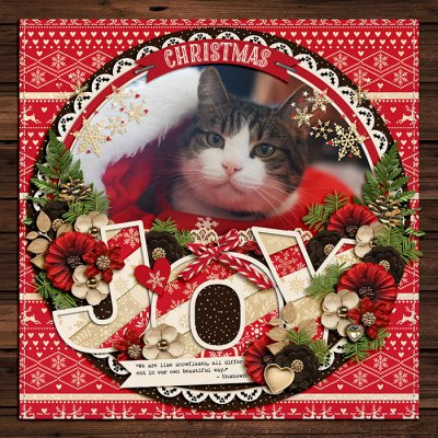 Christmas Joy