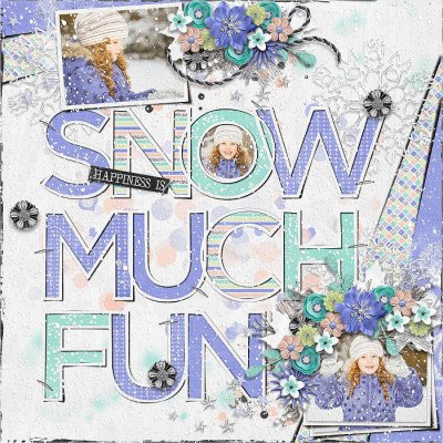 Snow Much Fun