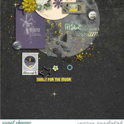Shoot For The Moon