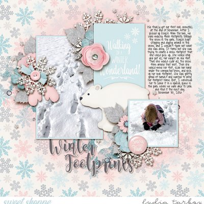 Winter Footprints