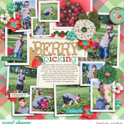 berry-picking-wm