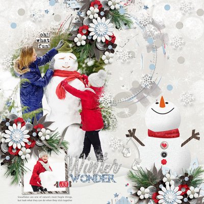 winter wonder