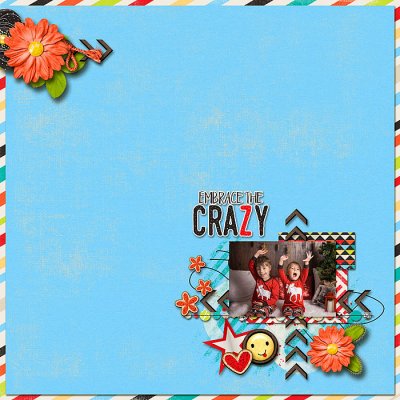 Embrace The Crazy