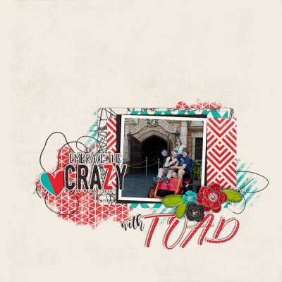 ~Embrace the Crazy~
