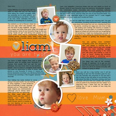 Letter to Liam (age 2)