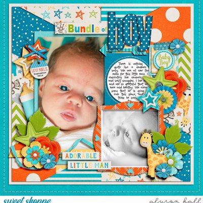 Bundle of Boy