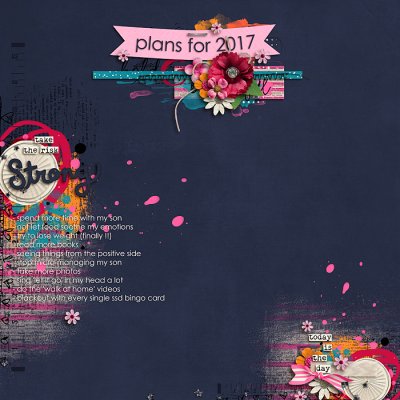 Plans for 2017