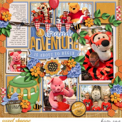 Pooh Adventure