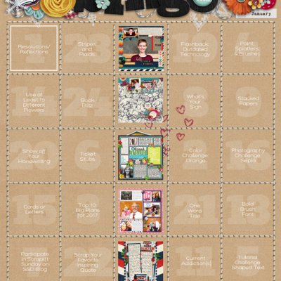 January Bingo Card