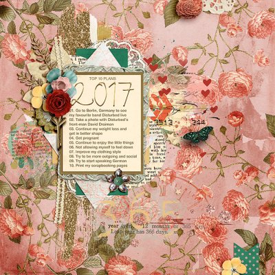 2017 plans