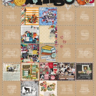 Bingo Challenge Jan 2017