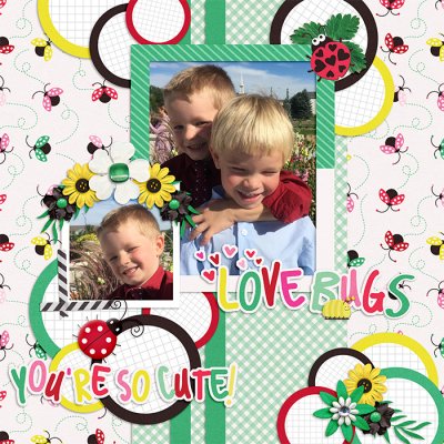 Love Bugs