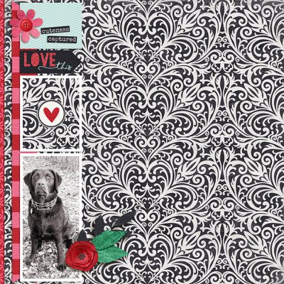 Faithful Companion