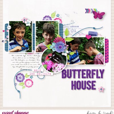 Butterfly House