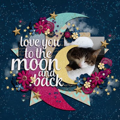 Love you to the moon and back