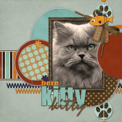 Here Kitty Kitty