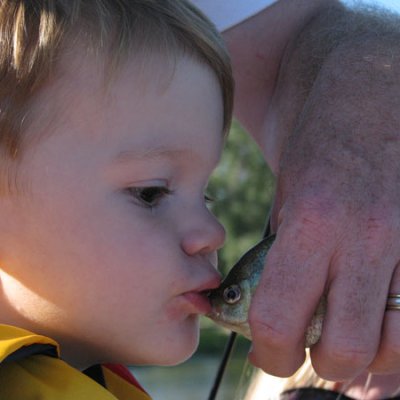 Frog Kisses