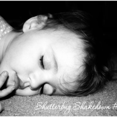 Shutterbug Shakedown #19