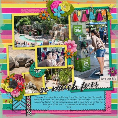 so-much-fun-at-the-zoo
