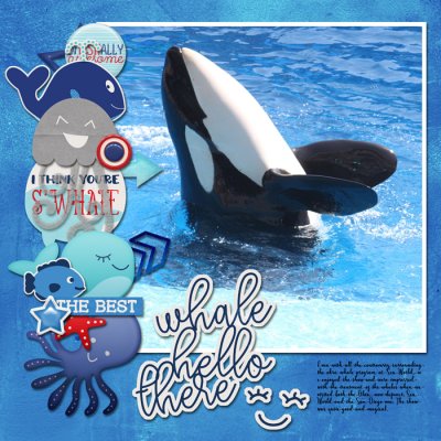 Sea World