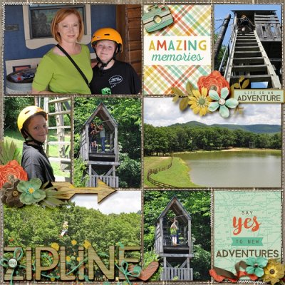 Zipline left