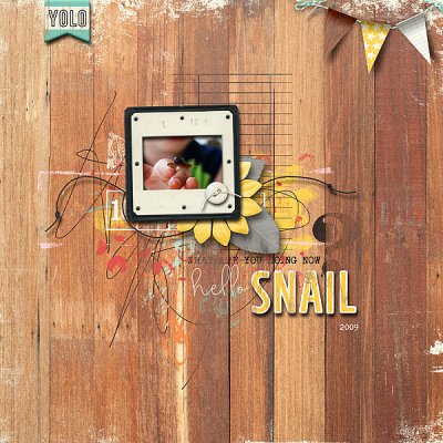 Hello Snail
