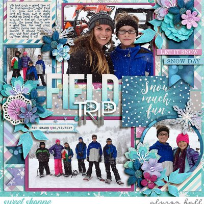 Field Trip
