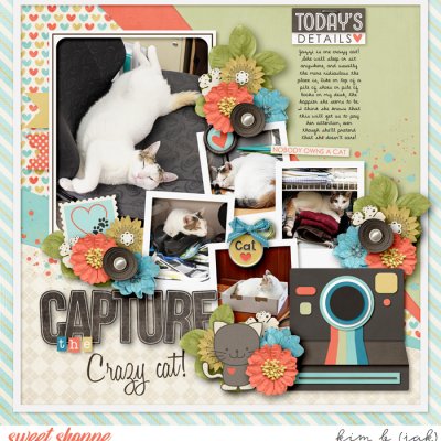 Capture the Crazy Cat