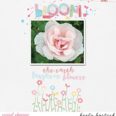 Bloom