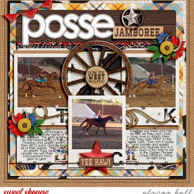 Posse Jamboree