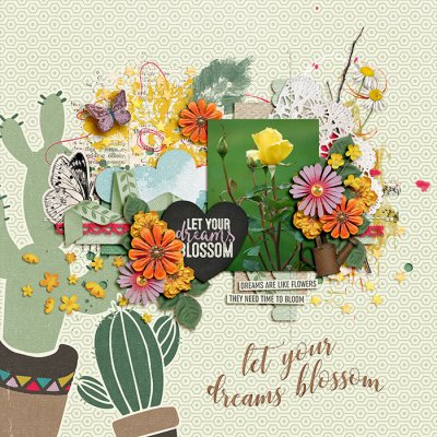 Let Your Dreams Blossom