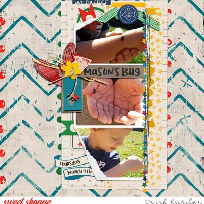 Mason's Bug