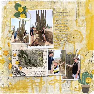 Cacti Fun