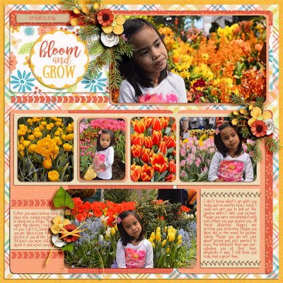 Bloom and Grow