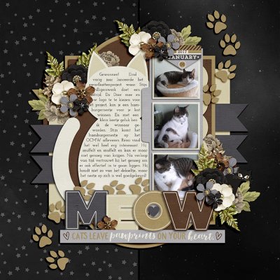 Meow