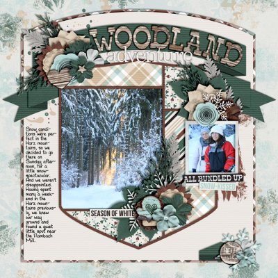 Woodland Adventure