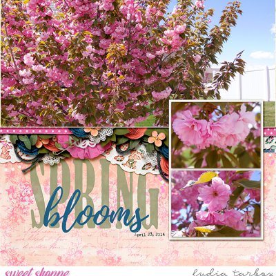 Spring Blooms