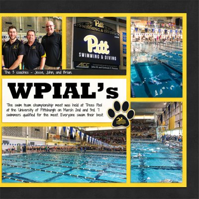 Swim Team Championships, right side