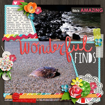 Wonderful Finds