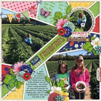 Strawberry picking