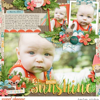 spring-sunshine-wm