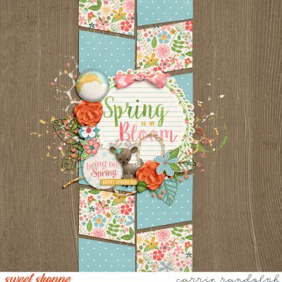 Spring is in Bloom