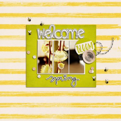 Spring Beginnings