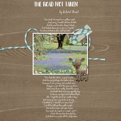 Bingo 12 - brown and blue