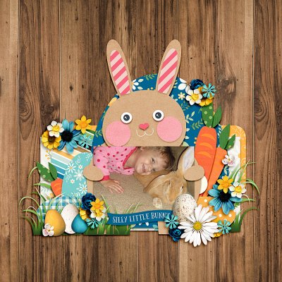Hello Bunny