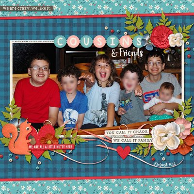 Cousins and Friends