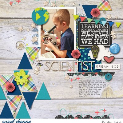 Little Scientist