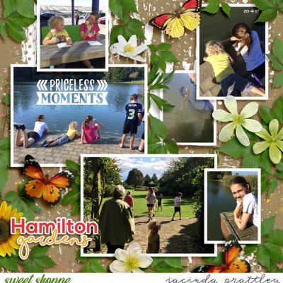 Hamilton gardens
