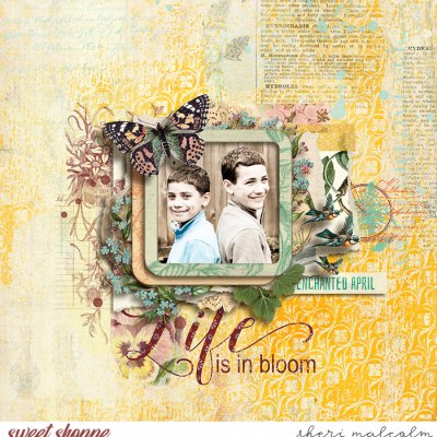Life is in Bloom